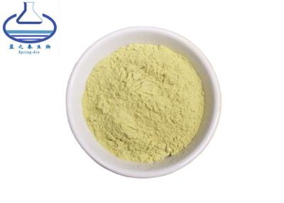 China 98% Sophora Japonica Extract Kaempferol Powder 520-18-3 for sale