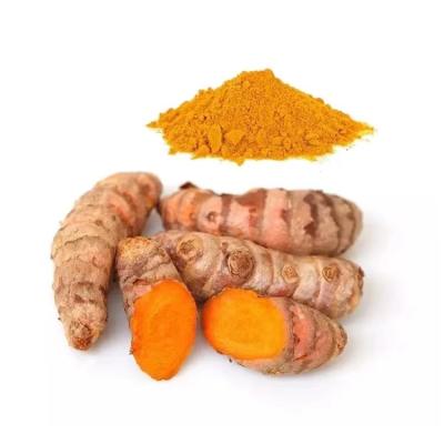 China HPLC Food Pigment Tumeric Extract Powder 95% Tumeric Curcumin Powder CAS 458-37-7 for sale