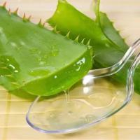 China 10/1 200/1 Aloe Vera Powder Freeze Dried Aloe Vera Powder for sale