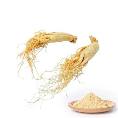 China 5/1 Red Ginseng Extract Powder , Spring Bio Codonopsis Root Powder for sale