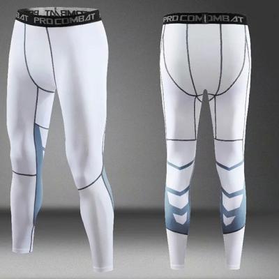 China 2022 OEM gym men's fitness tights anti-static fabletics high elastic mesh sports active tights gaiters for sale