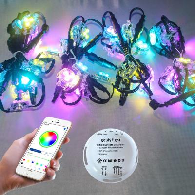 China Lighting Decoration Led Christmas Brand New Affordable Colorful Christmas RGB ucs2904 Rgbw Led Pixel Dot Light for sale