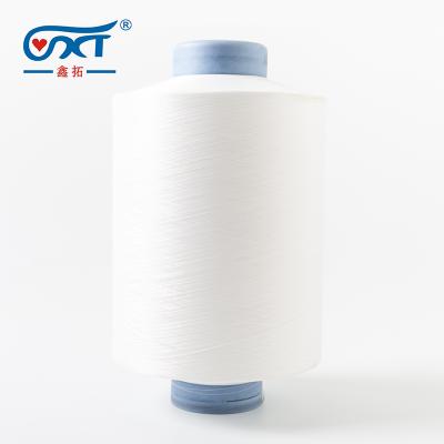 China 2020 New Product DTY 140D/48F RW High Quality Nylon Anti-pilling SD Yarn For Rope And Knitting for sale