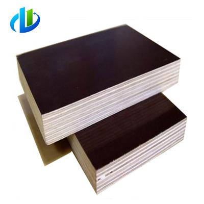 China Modern phenolic plywood in birch and walnut plywood plywood for sale