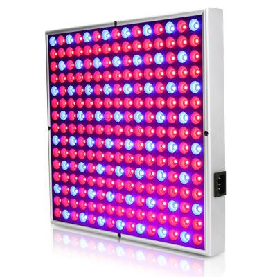 China Cheap Seed Starting New 30W To Grow Led Light For Garden for sale