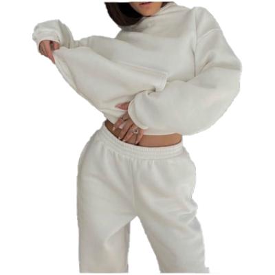 China Anti-pilling 2021 Winter Oversized Women Hoodies Joggers Cotton Two Piece Cheap Pants Set Women Jogging Sweatpants And Hoodie Set for sale