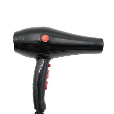 China BENEDITA Ionic Fast Drying Quiet and Lightweight Salon Hair Dryer for sale