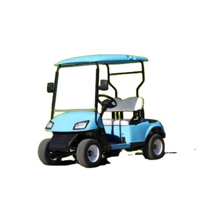 China Factory price for sale the buggy 2 seats A2 golf service car electric golf cart buggy for sale