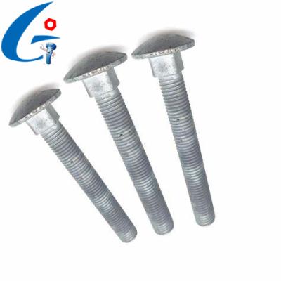 China Flat Hot Dip Galvanized Round Main Carriage Bolts for sale