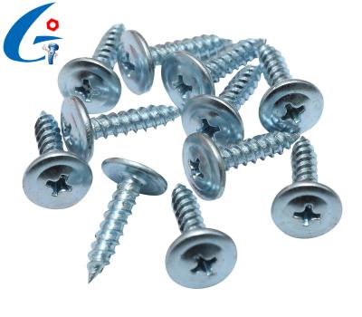 China Truss Express #6-#12 Phillips Truss Head Self Tapping Screws for sale