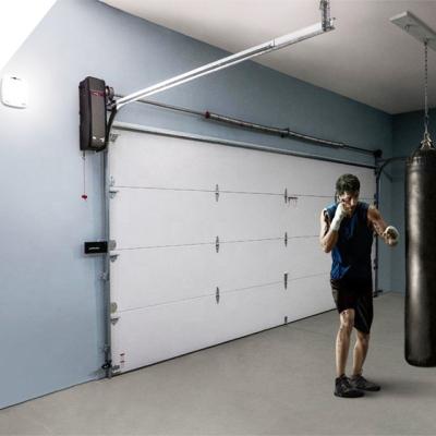 China Modern Cheap Polyurethane Panels Made Modern Garage Doors For Sale for sale