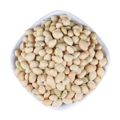 China Wholesale high quality white lentils high nutritional lentils for sale