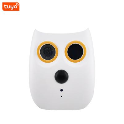 China NIGHT VISION C07 Tuya Factory Price Remote Control Small Digital Camera Network Waterproof Radio Wifi Camera for sale