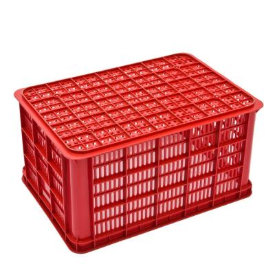 China Plastic Collapsible Mesh 610x425x310mm Stackable Fruit Crate for sale