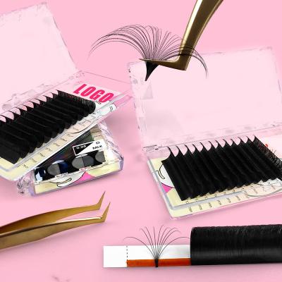 China Natural long subscribed 0.03 0.05 0.07 8-25mm cc different dual density curl mink eyelash extension private label cashmere eyelash extensions whip tray for sale