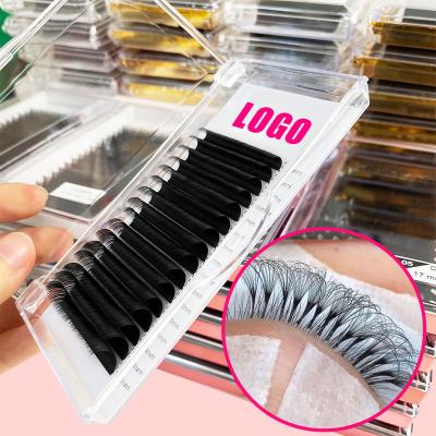 China 3D silk eyelash extension private label las extension Abonnie supplies russian volume silk lashextensions for sale