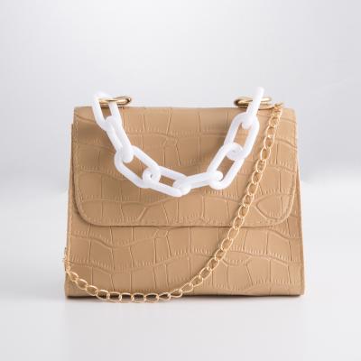 China 2021 High-end Fashion Plastic Square Handbags Bag Chain High Quality Crocodile Pattern Hand Canton Handbags for sale