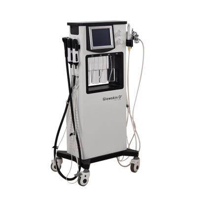 China New Multifunctional Professional Multifunctional Blood Vessel Removal Bubble Beauty Spa Equipment Facial Machine for sale