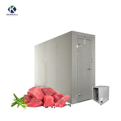 China Industrial Cold Storage Room Freezer Room Walk In Freezer Cold Storage Deep Freezer Cold Room Mini Fridge for sale