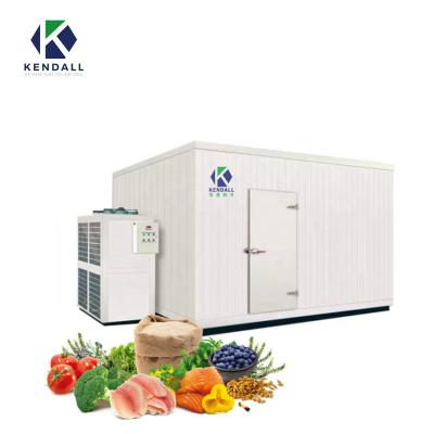 China Food Fresh Fruit Cold Room Chicken Blast Freezer Cold Storage Chiller Room Refrigeration Unit Walk In Freezer For Meat, Fish for sale