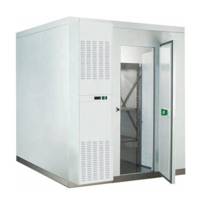 China Cold Room Customized Cold Storage Room Walk In Blast Freezer Container Cold Room for sale