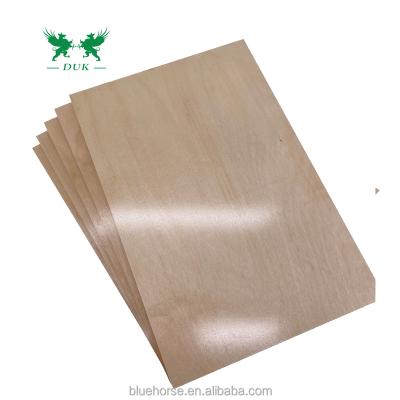 China Commercial Sheet of Traditional UV Birch Plywood for CNC Cutting and Dieboarding for sale