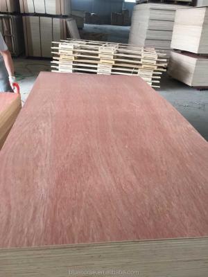 China Bintangor modern plywood with poplar core, commercial plywood for furniture for sale