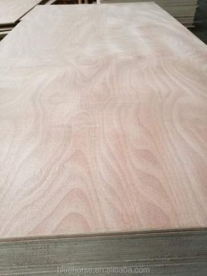 China Okoume contemporary plywood for wardrobe, cheap commercial plywood for sale for sale