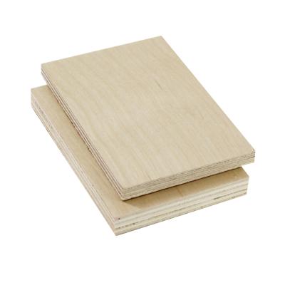 China Traditional Natural Birch Plywood / White Birch Plywood / UV Coated Birch Plywood for sale