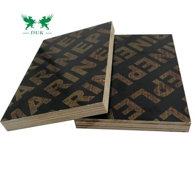 China Contemporary Black Film Faced Plywood , Shuttering Film Faced Plywood In UAE for sale