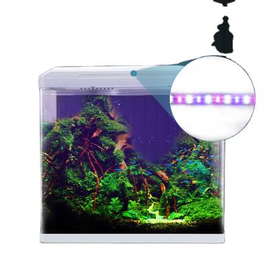 China Sustainable Aquarium Tank With Metal Accessories Pi0029 Type Wire Custom Feature Original Material ISO Certificate Working for sale