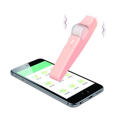 China OEM APP Control Multi-speed Stationary Waterproof Hand Hold Vibrator For Women for sale