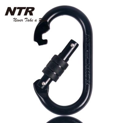 China Alloy Steel Screw Lock Oval Carabiner Climbing Steel Carabiner for sale