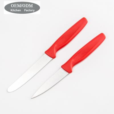 China Modern Low Price Kitchen Knife Set Fruit Knife With Plastic Handle for sale