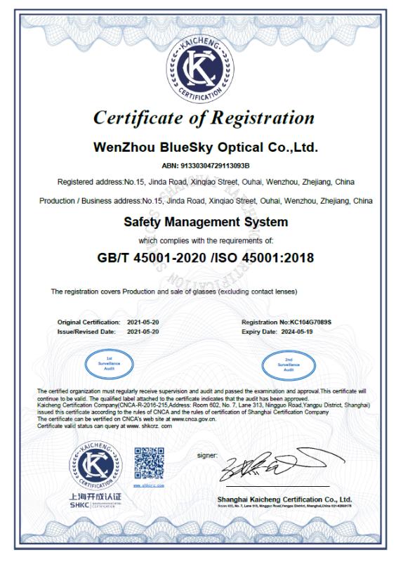 ISO 45001 - Wenzhou Blue Sky Import & Export Co., Ltd.