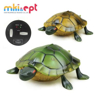 China Lovely Remote Control Toy Turtle For Kids On Sale 23.8 x 14.8 x 6.5cm for sale