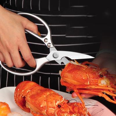 China New Design Easy Sustainable Stylish Multiple Use Small Old Cutter Smart Kitchen Scissors for sale