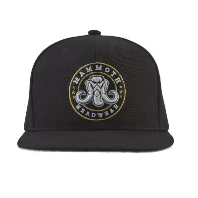 China COMMON Customize Black Snapback Cap 3D Embroidery Snapback Hat For Kids And Adults for sale