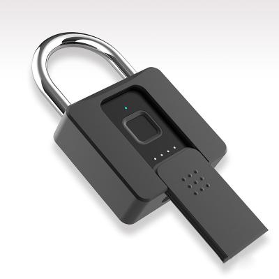 China Widely Use Factory Price Wholesale Custom Biometric Padlock for sale