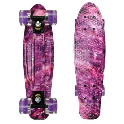 China Adult Low Price Full Board Beach Penny Style Four Wheel Street Surfing Cruiser Plastic Skateboard for sale