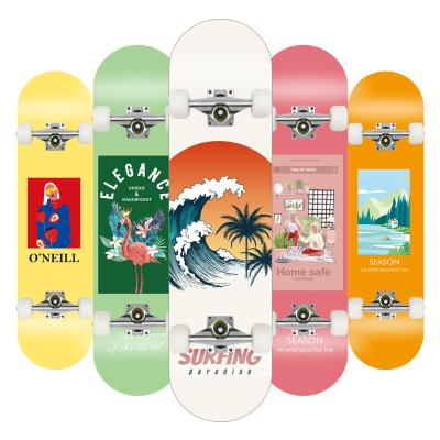 China Adult wholesale distributors complete professional maple board wood skateboard with good price for sale