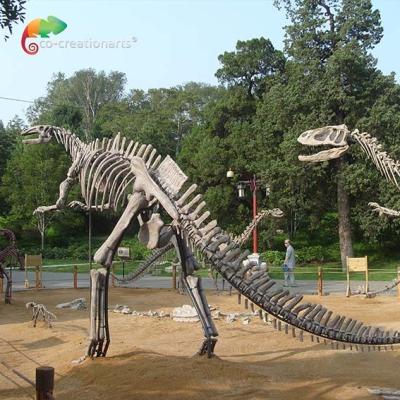 China Vida da fibra de vidro - esqueleto do Hadrosaurus da réplica do crânio do dinossauro do tamanho antienvelhecimento à venda