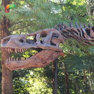 China Resistência T Rex Skeleton Replica do tempo à venda