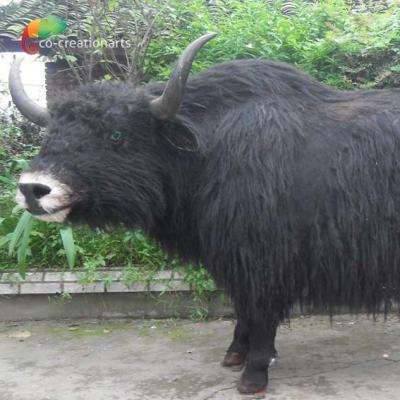 China Customized Lifelike Animatronics Robotic Animal Wild Yak Replications For Exhibition for sale