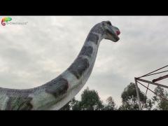 Theme Park 12M Animatronic Brontosaurus Life Size Animatronic Dinosaur Realistic Model For Jurassic