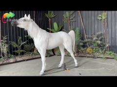 Animatronic Animals Animatronic Arab Horse Customized Animatronic Animals