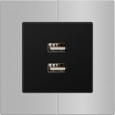 China Ladegerät-Sockel 50/60Hz USB, Doppelstecker-Sockel mit Usb 86x86mm zu verkaufen