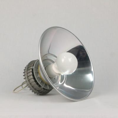 China China Wholesale Custom Electrodeless Induction Lamp Circular for sale