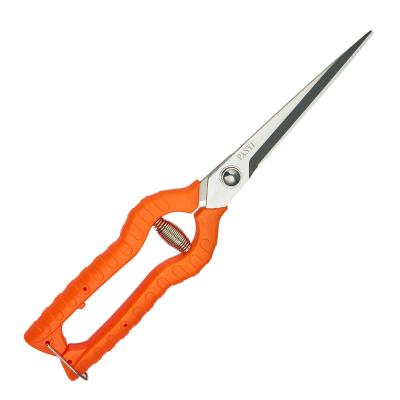 China High Quality Anti-Slip Handle Flower Shear Grape Garden Pruning Scissors with Long Blade for sale