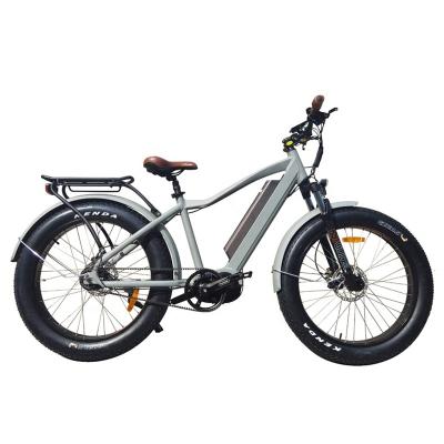 China 2020 Standard Ebike Belt Drive Mid Motor 750W Electric Mountain Disc Brake Fat Electric Bicycle for sale